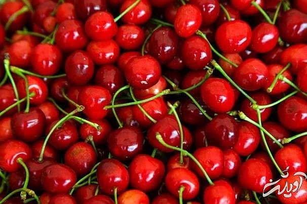 آلبالو برای لاغری